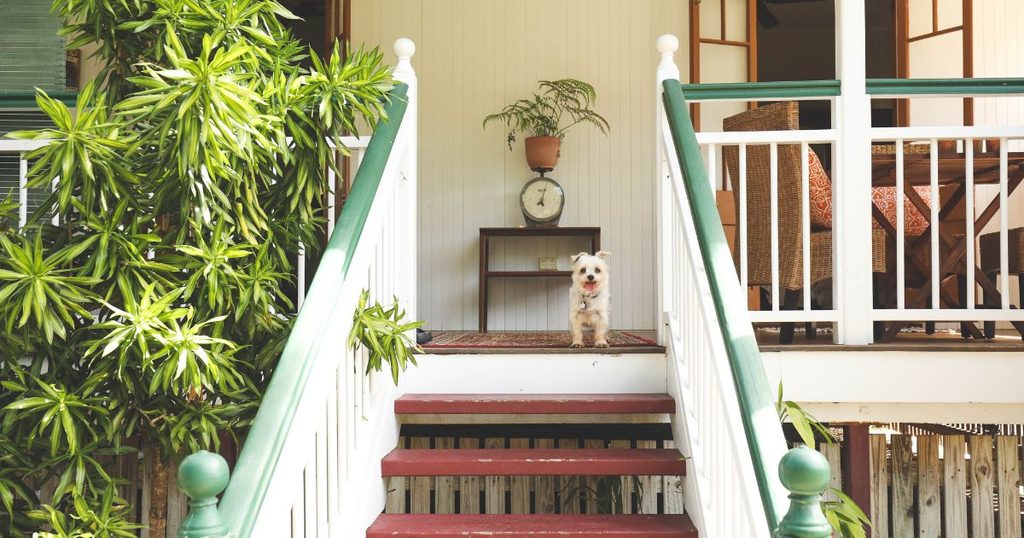 愛犬が階段を降りられない時に飼い主ができる対策