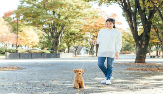 犬が散歩で歩かないのは怖がりだから？原因と慣らし方・正しい対処法を解説
