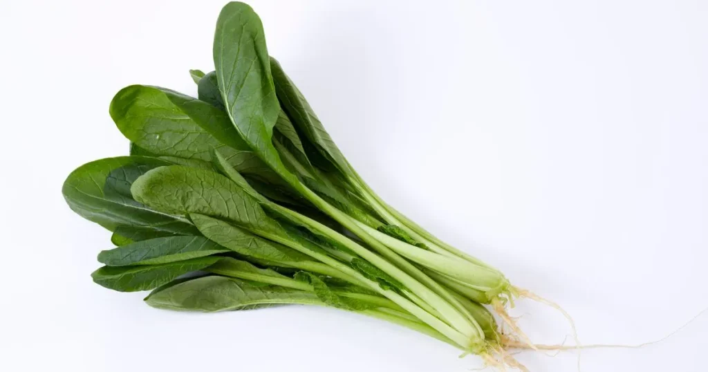 ほうれん草はインコに与えても大丈夫?