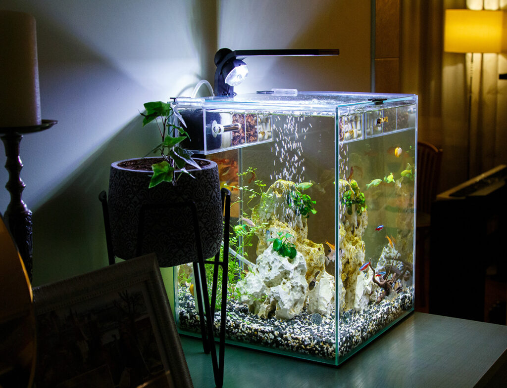 アクリル水槽を激安・格安でオーダーする具体的なコツのイメージ