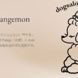 町田で愛犬に寄り添うWendy’s Dog Salonの魅力