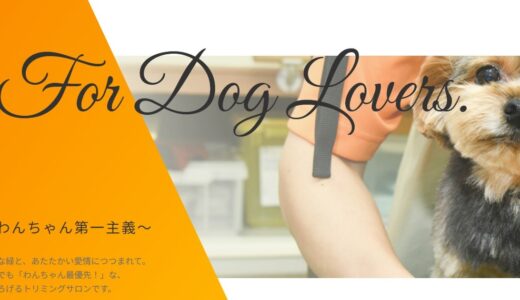 愛犬に寄り添うプライベートサロン「ほっとふぃーるど」の特徴とサービス内容