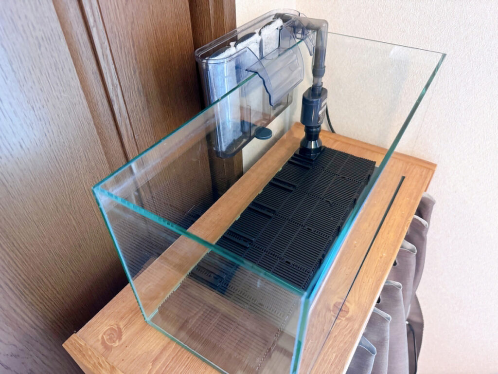 オーダーアクリル水槽を長持ちさせる正しいメンテナンス方法のイメージ