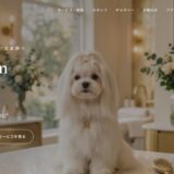 町田で愛犬に寄り添うdog salon angemonの魅力