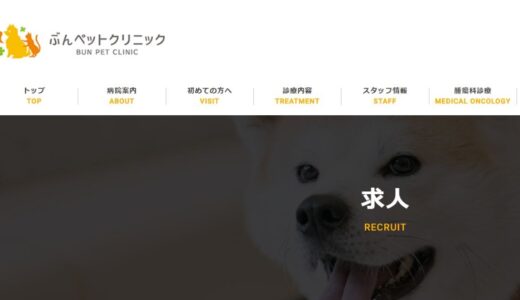 岡崎市のぶんペットクリニックが獣医師や動物看護師の求人を募集中