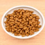 キャットフードを柔らかくする方法！ふやかす手順や時間、注意点を解説