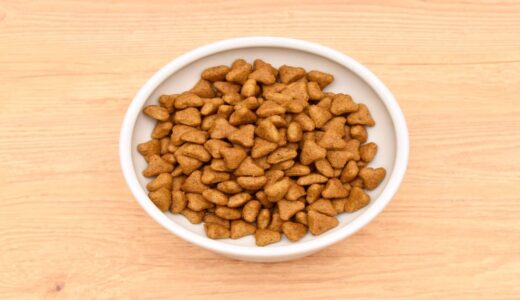 キャットフードを柔らかくする方法！ふやかす手順や時間、注意点を解説