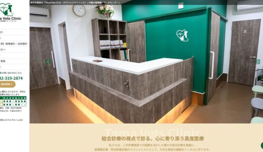 府中市で循環器診療に対応する動物病院｜Tama Vets Clinicの専門性と診療内容